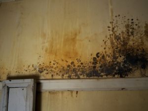 Infiltrazioni e danni dal lastrico solare di proprietà esclusiva: non sempre si applica l'articolo 1126 c.c.