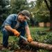 Il singolo condomino può tagliare due alberi del giardino comune per realizzare un parcheggio?