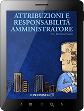 Attribuzioni e responsabilità amministratore